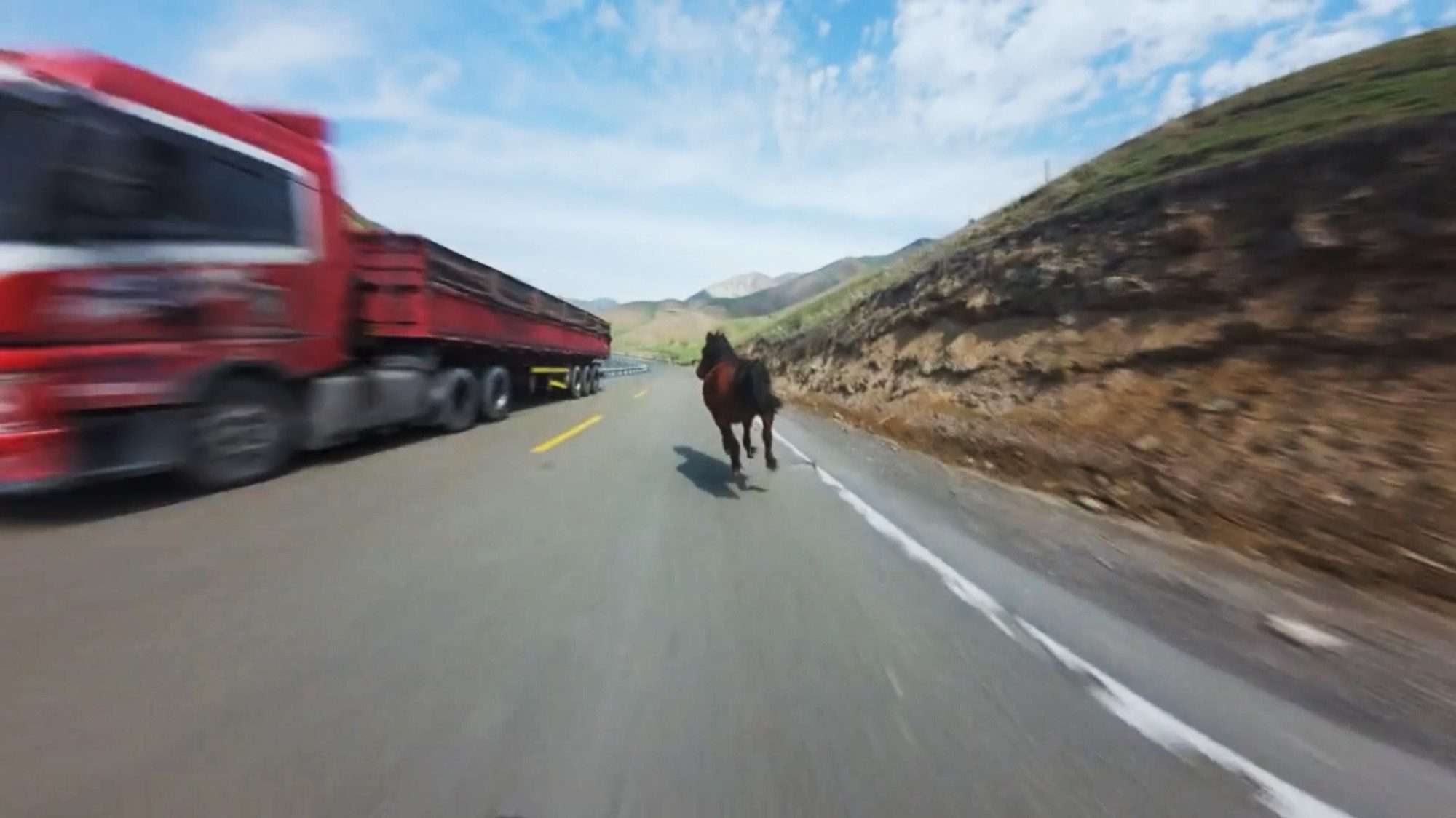 Read more about the article Exhausted Cyclist Fails To Overtake Galloping Horse