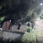 Moment Lioness Is Caught On CCTV Leaping From Family Garden With 75Kg…