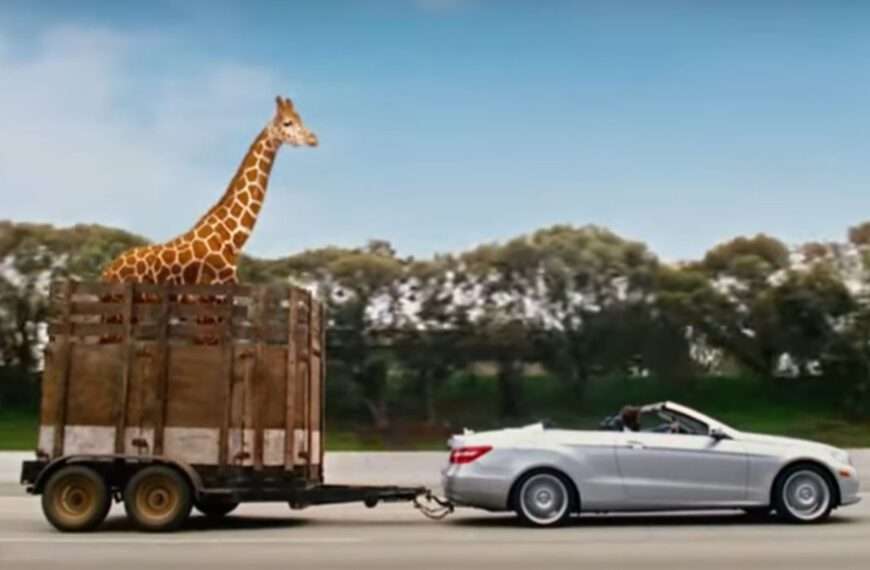  Giraffe Almost Loses Its Head In Low Bridge Mishap