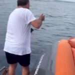 Moment Baby Shark Flips Itself To Safety From Men Fishing From Boat