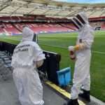 Swarm Of Honey Bees Invade EURO 2024 Pitchside Ad