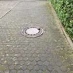 Roly-Poly Rodent Stuck In Manhole Cover Saved